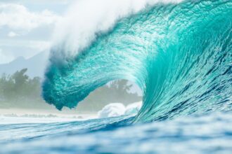pipeline-volta-a-sediar-a-etapa-final-do-circuito-mundial-de-surfe