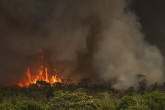 camara-aprova-aumento-de-punicao-a-quem-provocar-incendios-florestais